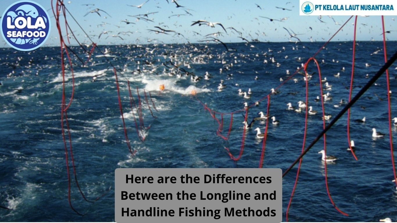 Here are the Differences Between the Longline and Handline Fishing Methods